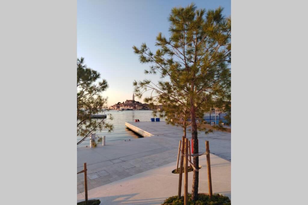 Apartment Sertic Nenad Rovinj